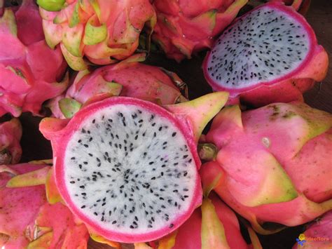 Las 10 Frutas Más Ricas Y Exóticas Del Mundo Taringa