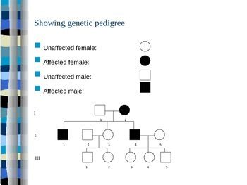 Sex Linkage In Genetic Inheritance Presentation Handout TPT