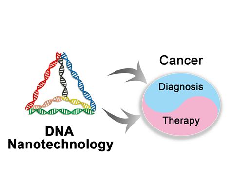 Ijms Free Full Text Dna Nanotechnology For Cancer Diagnosis And Therapy