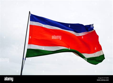 Flag of Maharashtra Navnirman Sena MNS India Stock Photo - Alamy