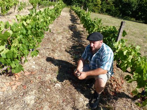 Photos Vallois De La Sylviculture La Viticulture