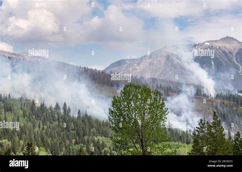 Distant Helicopters Fighting A Forest Fire In Kootenay National Park