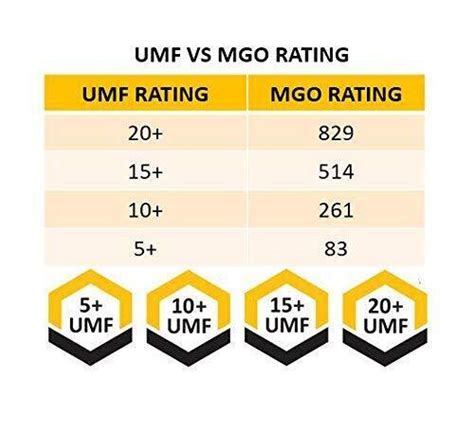 Raw Manuka Honey MGO 600 From New Zealand Non GMO Monofloral