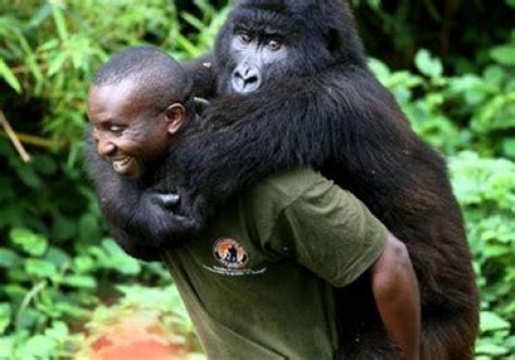 Dubinc Our Heroes Virunga National Park