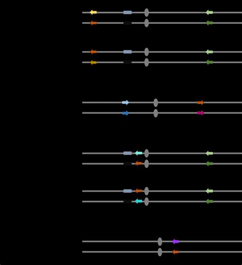 Schematic Drawing Not To Scale Illustrating The Location Of