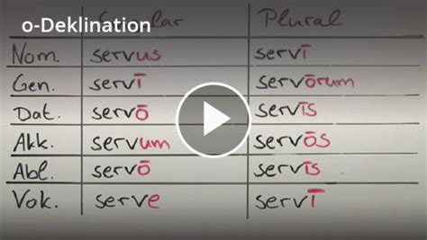 O Deklination Latein Definition Zusammenfassung Easy Schule