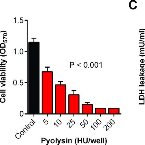 Cytolytic Activity Of Pyolysin In Stromal Cells A Primary Bovine