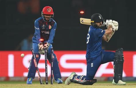 Afghanistan Script Historic World Cup Win Over England TimesOnline