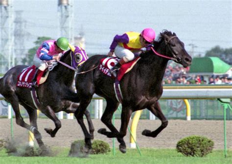 【毎日ベスト3】京王杯sc優勝からg1馬に出世した馬ベスト3 毎日ベスト3 競馬コラム 日刊スポーツ