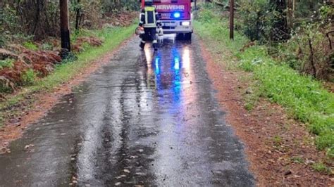 Fw Schermbeck Baum Auf Strom Und Telefonleitung