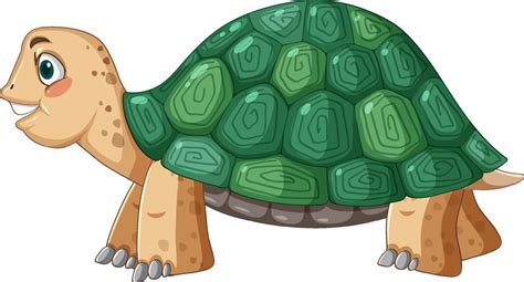 Side View Of Turtle With Green Shell In Cartoon Style 4870982 Vector