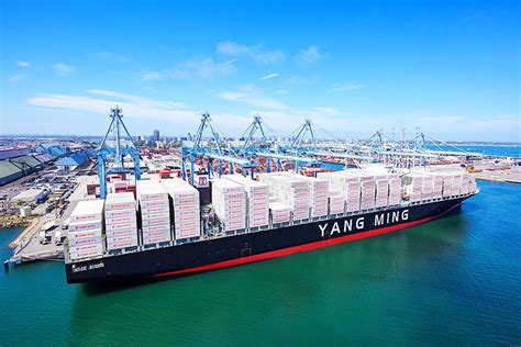 ming appoints  chairman container news