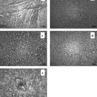 Visualization Of Oleogel With Varying Concentrations Of Oleogelator