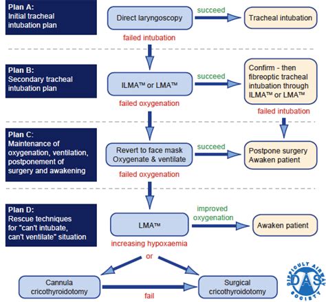 Summary of Difficult Airway Society UK (DAS UK) algorithm for difficult ...