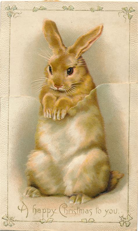 Victorian Christmas card rabbit Винтаж открытки Иллюстрации животные