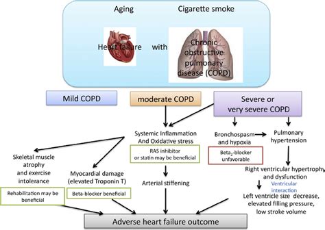 Pathophysiological Relation Between COPD And Heart Failure COPD