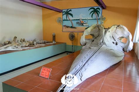 El Museo Marino En Tecolutla Veracruz