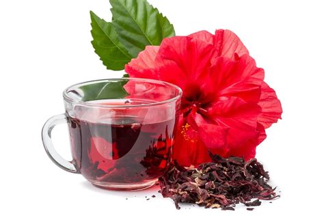 Pode Tomar Cha De Hibisco Antes De Dormir - Quem não pode tomar chá de hibisco: 5 grupos que ignoram o risco real