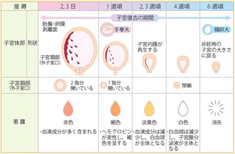 中医学で考える産後ケア～7つのポイント【清】～｜漢方と鍼灸 株式会社誠心堂薬局