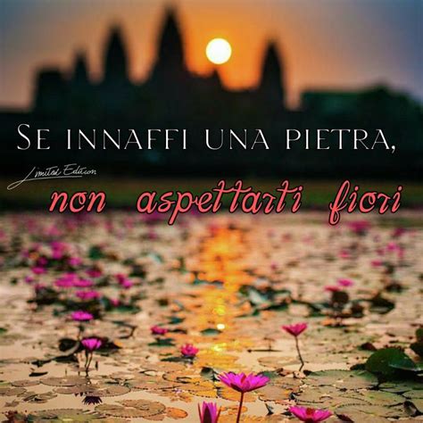 Pin Di Lilli Amore Su Foto Citazioni Sagge Citazioni