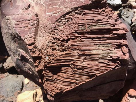 Goethite formation: Leigh Creek • Flinders Ranges Field Naturalists