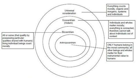 Moral Community Expansion Across Prominent Theories In Environmental Download Scientific