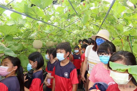 影／新農業！青農陳照委挺食農 晨照溫室網紋洋香瓜媲美日本進口 蕃新聞