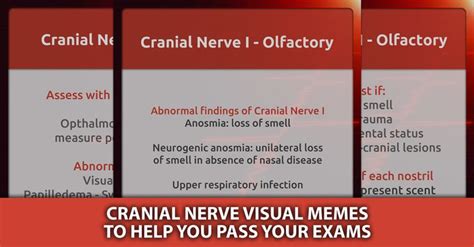 Three Screens Showing The Names Of Different Nervsual Memes To Help You