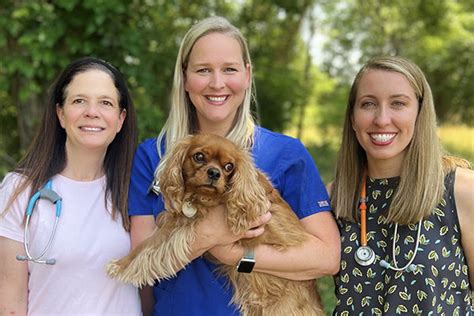 Simpsonville Animal Hospital Joins Innovetive Petcare Innovetive Petcare