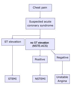 Unstable Angina And Non STEMI Risk Assessment And Management