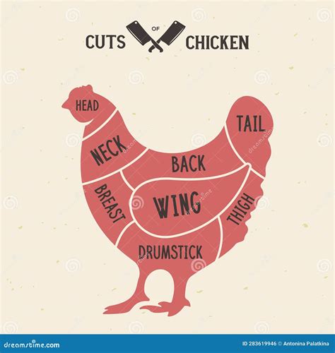 Meat Cuts Chicken Diagrams For Butcher Shop Scheme Of Chicken