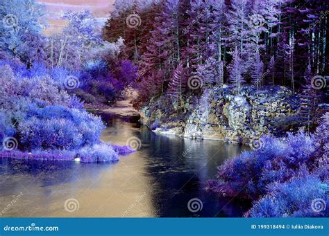 Paisagem Fabulosa Floresta E Rio Nas Margens Rochosas Foto De Stock