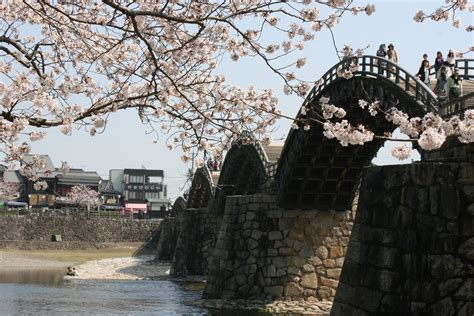 Living the DREAM: The Kintai Bridge and Cherry Blossom season