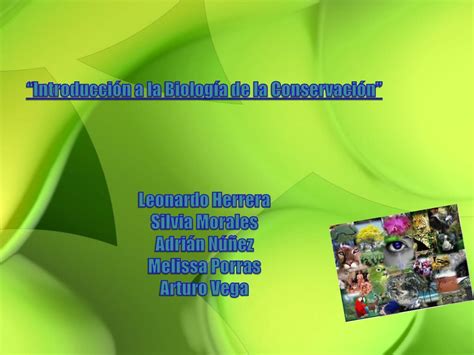 Ppt La Biolog A De La Conservaci N Powerpoint Presentation Free