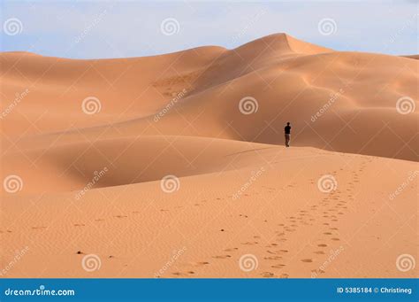 Lost in Gobi Desert Sand Dunes Stock Photo - Image of alone, mongolia ...