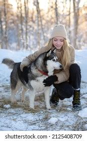 Husky Winter Blonde Images Stock Photos Vectors Shutterstock
