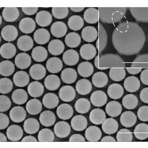 Sem Images Of Silica Spheres Synthesized By The St Ber Method The