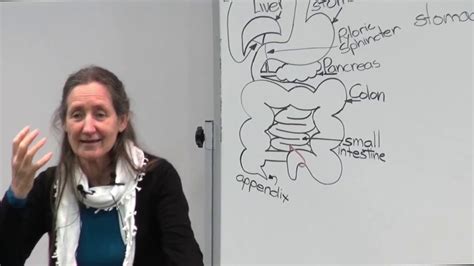 Barbara Oneill Part 13 Improving Health Through Digestion Youtube