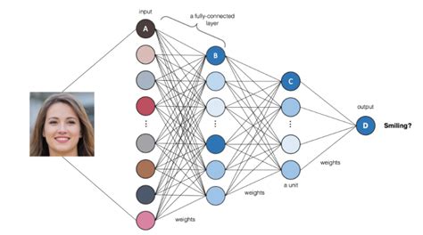 Neural Network Multi Layer Perceptron Examples Analytics Yogi