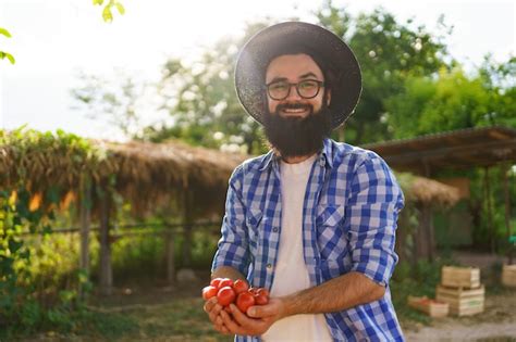 Feche As M Os Do Agricultor Segurando Em Suas M Os Tomates Org Nicos