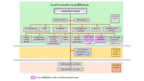 โครงสร้างหน่วยงาน ผู้บริหาร อำนาจหน้าที่ กรมส่งเสริมการเกษตร กระทรวง