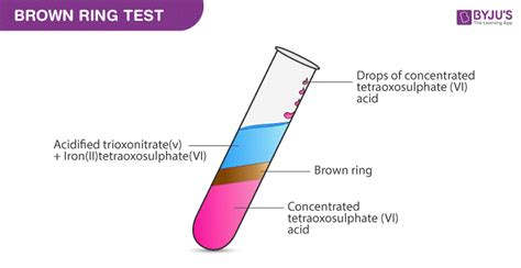 Brown Ring Test Nitrate Test Procedure Reactions On BYJUS