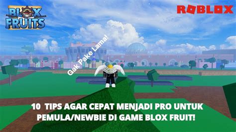 Ini Dia 10 Tips Untuk Newbie Pemula Agar Cepat Pro Di Blox Fruits Youtube