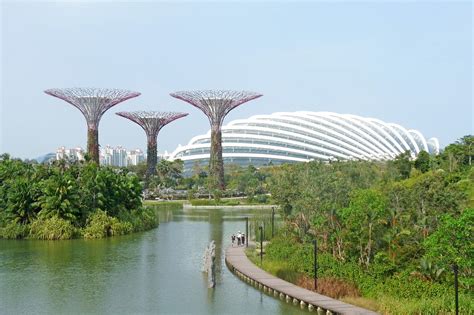 Mayo Dengue En Singapur Fundaci N Io