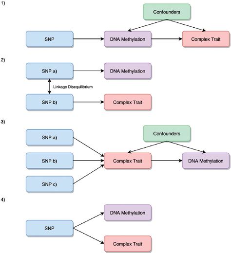 Figure From Systematic Mendelian Randomization Framework Elucidates