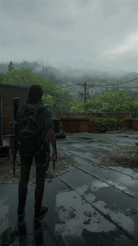 The Last Of Us 2 Ellie Joel Ps4 Seattle The Last Of Us