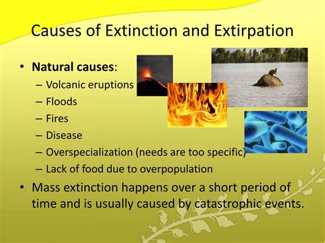 PPT - The Sixth Extinction? PowerPoint Presentation, free download - ID ...