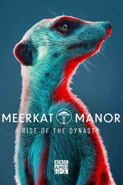 Meerkat Manor: Rise of the Dynasty | Rotten Tomatoes