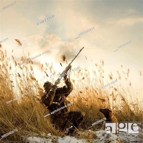 Man And His Dog Duck Hunting Stock Photo Picture And Royalty Free