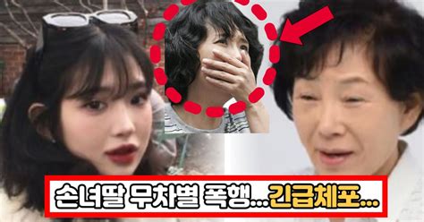 훈육 차원에서 故 최진실 딸 외할머니 경찰에 신고 폭행 혐의로 긴급체포 한컷뉴스